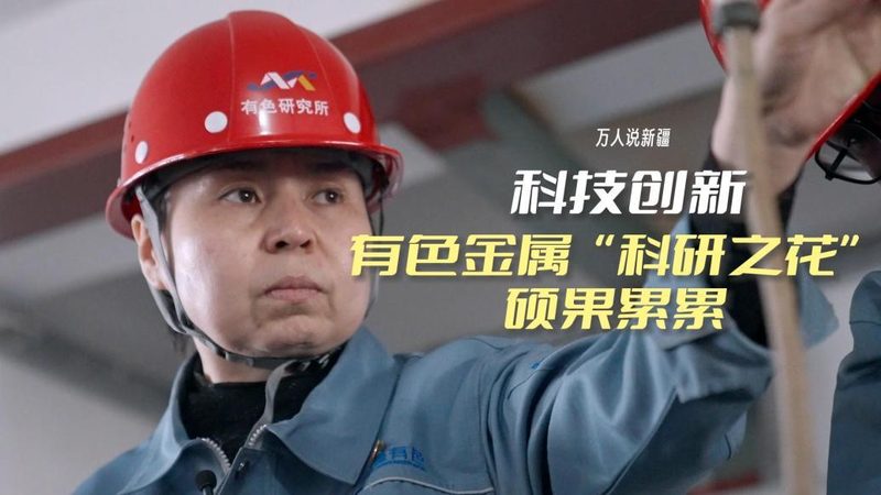 知识图谱：企业智能决策的得力助手，应用场景揭秘